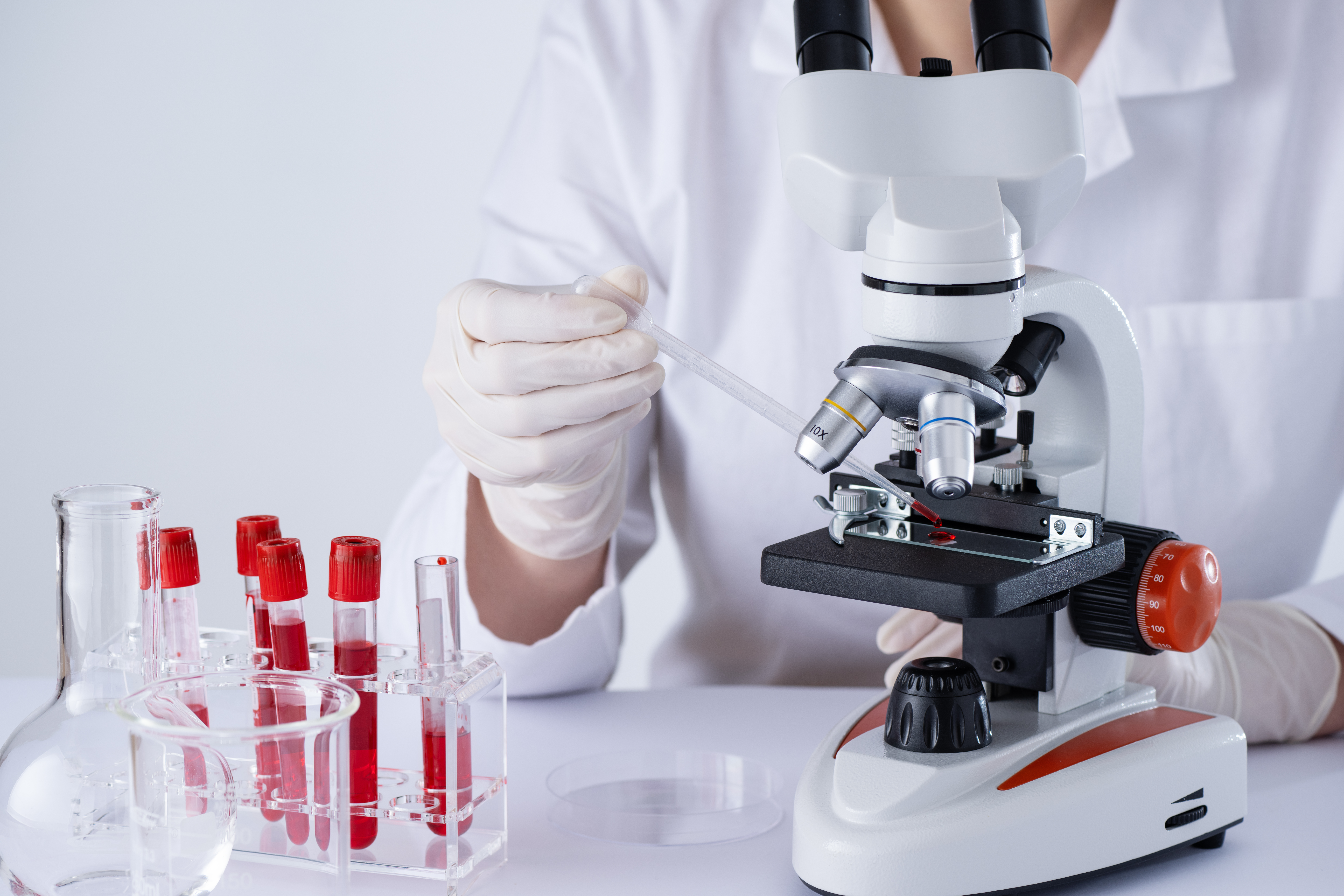 Testing blood in microscope