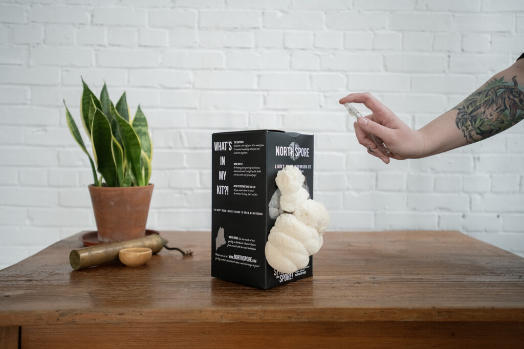 Lions Mane Spray and Grow kit