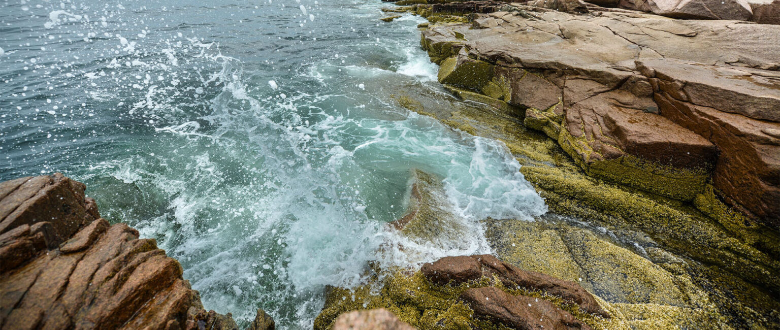 Startup Maine Coastal Image