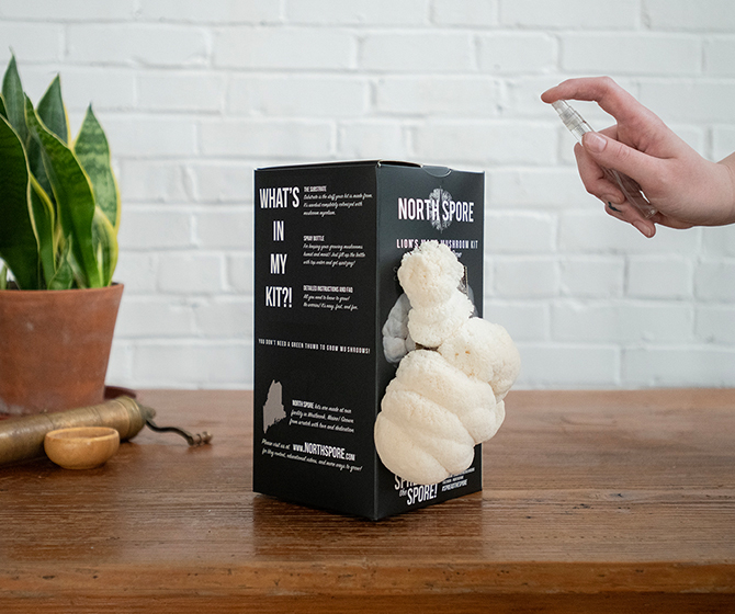 Northspore Mushroom growing kit