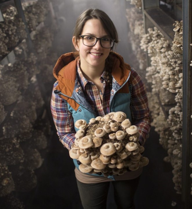 Mousam Valley Mushrooms