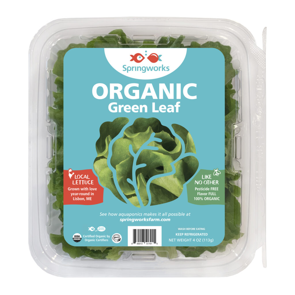 Springworks Organic Green Leaf lettuce in clam shell packaging