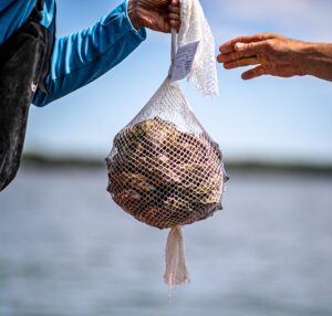 Sustainable seafood packaging